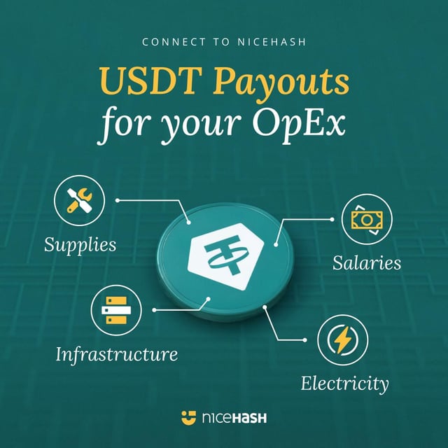 The image shows a green circle with white text that reads "USDT Payouts - now available for SHA256AsicBoost miners!" The text also includes several icons related to cryptocurrency mining, such as a Bitcoin block, a mining rig, and a hash function. These icons are used to explain the concept of USDT payouts in relation to mining.