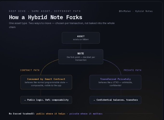 The image is a flowchart titled "How a Hybrid Note Forks" by @0xMiden, illustrating that a single asset on Miden splits into a "Contract Path" (consumed by smart contracts for DeFi composability) and a "Private Path" (transferred privately like a UTXO for confidentiality), with the fork decided per transaction — directly visualizing the post's message that users choose between programmable and confidential behavior without being forced into a chain-wide tradeoff.