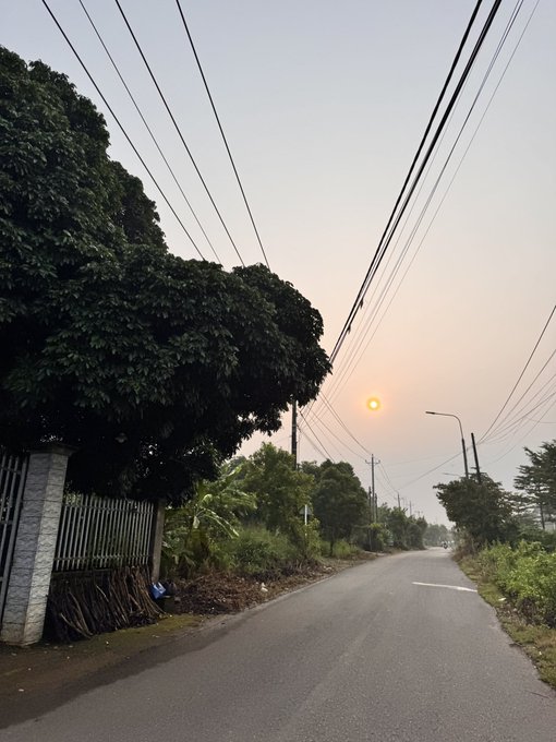 A photograph of a quiet rural road at sunset, featuring a large dark green tree on the left, power lines overhead, and the sun visible low in the hazy sky.