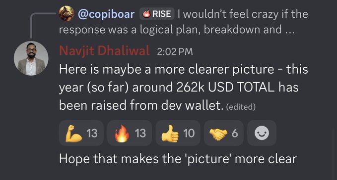 A Discord chat screenshot from a user named Navjit Dhaliwal posted at 2:02 PM, stating "Here is maybe a more clearer picture – this year (so far) around 262k USD TOTAL has been raised from dev wallet," with 13 flex, 13 fire, 10 thumbs up, and 6 handshake reactions.