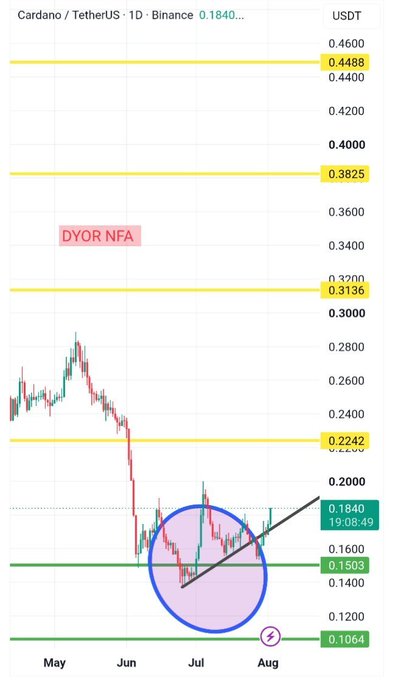 A Cardano (ADA/USDT) daily chart on Binance showing price consolidating around $0.1840 with a rising trendline circled in blue, illustrating buyers defending higher lows near the $0.1503–$0.1064 support zone amid key resistance levels at $0.2242, $0.3136, $0.3825, and $0.4488.