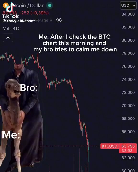 "Me. After I check the BTC chart this morning and my bro tries to calm me down. Volume: 7,000 btc. 80,000. 60,000."
