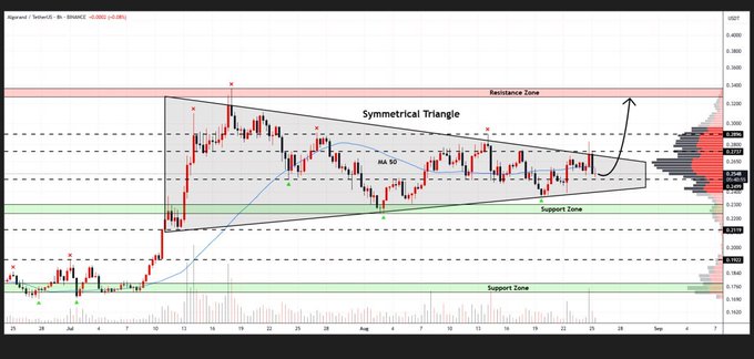 A Dogecoin/USDT (8h) trading chart showing a 'Symmetrical Triangle' pattern with MA 50, resistance zone, support zone, and support cone, with an arrow indicating potential upward breakout.