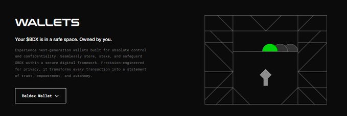 A dark-themed graphic titled 'WALLETS' explaining that 'Your SBDX is in a safe space. Owned by you,' featuring a 'Boldor Wallet' button and a geometric design with a green semicircle and white key icon.