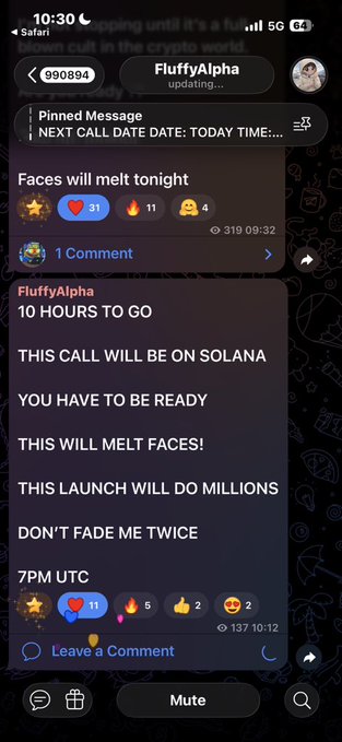A Telegram chat screenshot from user FluffyAlpha announcing a Solana crypto call at 7PM UTC, with messages saying 'THIS CALL WILL BE ON SOLANA' and 'THIS WILL MELT FACES!'.