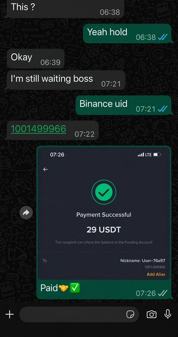 A chat screenshot showing a transaction where 29 USDT was paid successfully to Nickname: User-76a97 (1001499966) at 07:26.