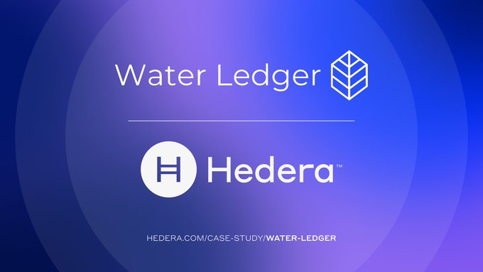 A digital graphic featuring the "Water Ledger" logo and "Hedera" branding on a blue and purple gradient background, promoting the case study URL HEDERA.COM/CASE-STUDY/WATER-LEDGER. The image relates to the post by highlighting the partnership between Water Ledger's SWaN platform and Hedera blockchain technology, which brings transparency to Virginia's previously hidden mitigation and nutrient credit market.