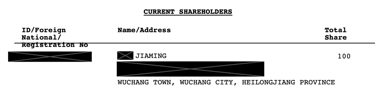 A shareholder document lists a current shareholder named 'JIAMING' from Wuchang Town, Wuchang City, Heilongjiang Province, with a total share of 100.