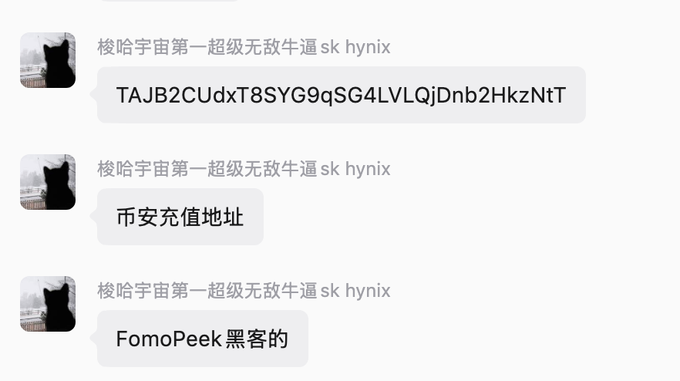A chat screenshot with three messages from '梭哈宇宙第一超级无敌牛逼 sk hynix' containing a random string 'TAJB2CUdxT8SYG9qSG4LVLQjDnb2HkzNtT', '币安充值地址' (Binance recharge address), and 'FomoPeek黑客的' (FomoPeek hacker's).