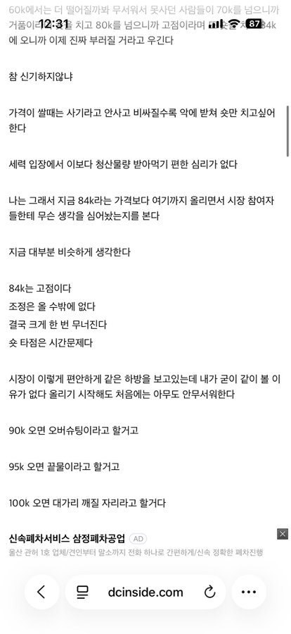 A Korean-language screenshot from dcinside.com containing a post titled '참 신기하저압나' with lengthy paragraphs of text and a bolded section mentioning '84kb 구경이다'.