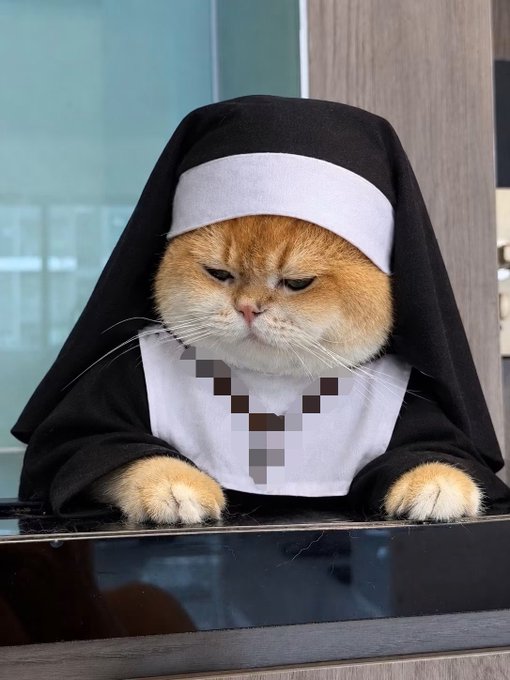 An orange and white cat dressed in a black and white nun costume with a pixelated cross, resting its paws on a dark surface with a serious expression.