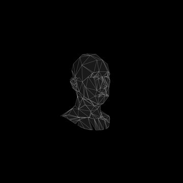 A dark, wireframe polygonal bust of a human head shown in profile against a black background.