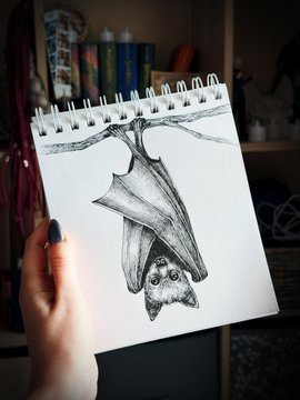 A hand holds a spiral sketchbook displaying a detailed pencil drawing of a bat hanging upside down from a branch, with bookshelves visible in the background.