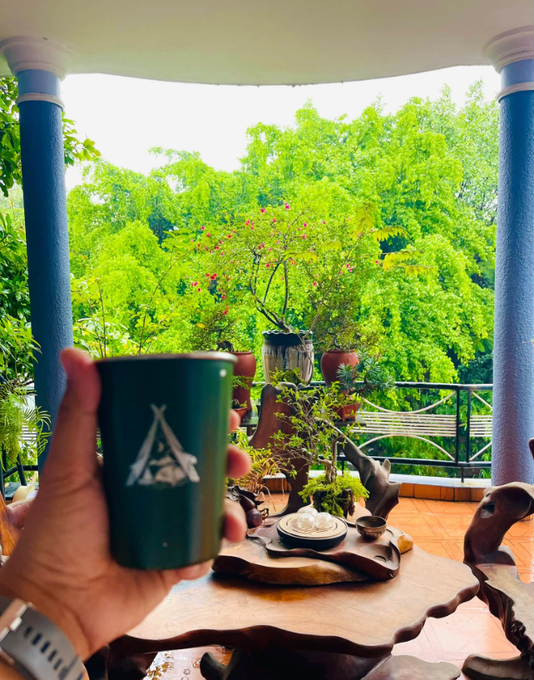A hand holds a green mug featuring a logo of a tent with trees, viewed from a balcony overlooking lush greenery and a bonsai-style plant on a wooden table.