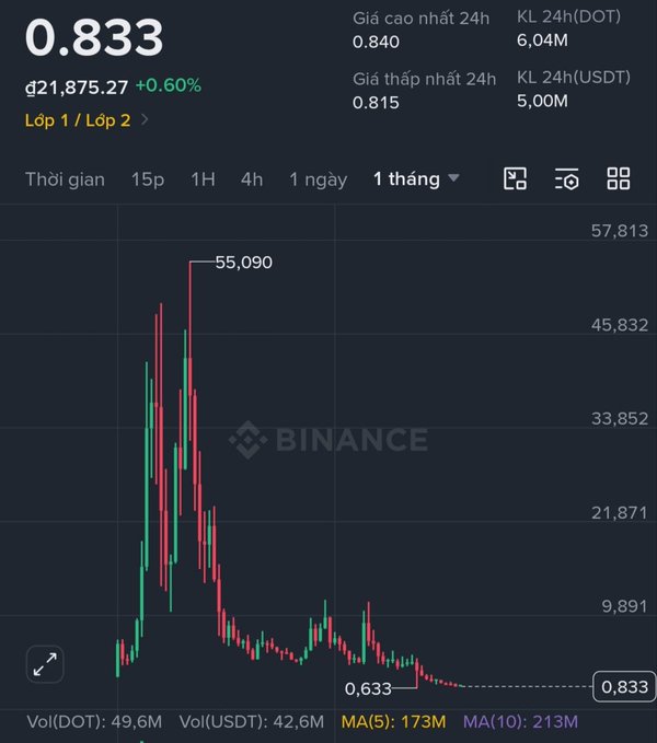 A Binance candlestick chart showing DOT/USDT's dramatic crash from its 2021 high of ~$55.09 to its current price of $0.833 (-0.60%), visually confirming the post's point that a $10k DOT investment has collapsed to roughly $100.