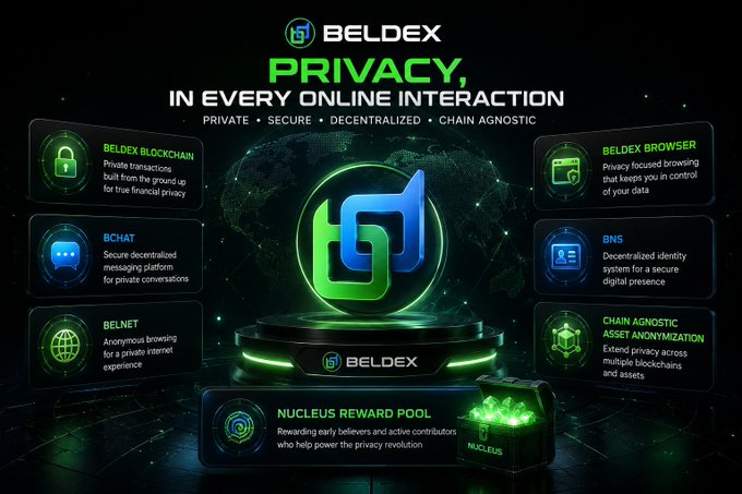 The image is a promotional graphic for BelDex, featuring its green and blue logo at the center with the tagline "PRIVACY, IN EVERY ONLINE INTERACTION" and descriptors "PRIVATE • SECURE • DECENTRALIZED • CHAIN AGNOSTIC." It showcases the BelDex ecosystem's six components: Beldex Blockchain, Beldex Browser, BChat, BNS (decentralized identity), BelNet, Chain Agnostic Asset Anonymization, and the Nucleus Reward Pool. The graphic directly reinforces the post's message by visually mapping out how BelDex embeds privacy into every layer of its ecosystem—from private payments and secure messaging to anonymous browsing and digital identity—rather than treating it as an optional feature.