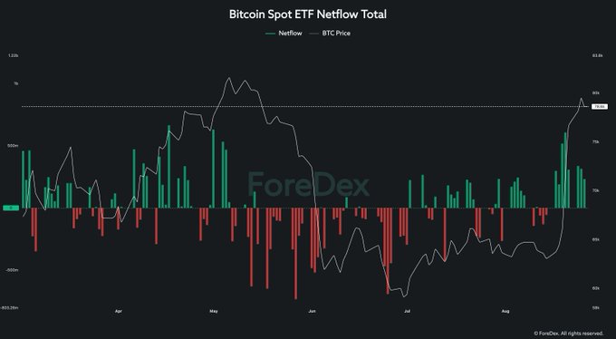 A dark chart titled 'Bitcoin Spot ETF Netflow Total' showing green and red bars representing netflows alongside BTC price from March through August.