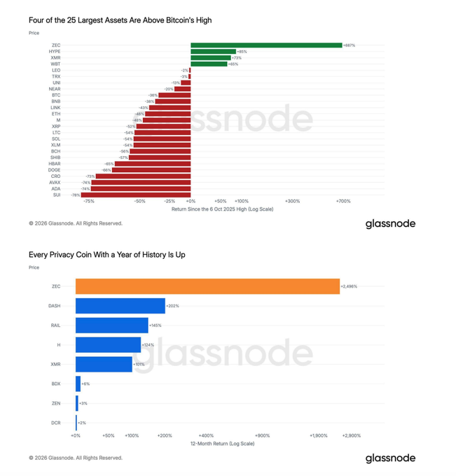 The image displays two Glassnode charts: the top shows returns of the 25 largest crypto assets since Bitcoin's October 2025 high, with ZEC (+687%) leading gains while ADA (-76%) and SUI (-75%) are the biggest losers; the bottom chart highlights that every privacy coin with a year of history is up over 12 months, led by ZEC (+2,498%), DASH (+202%), and RAIL (+145%). These visuals directly support the post's claim that privacy coins are the "Trade of the Year," with the sector averaging gains of 213% and being the only category still trading above pre-crash highs, while major assets like BTC (-36%) and the median top-200 crypto (-58%) remain well below October 2025 levels.