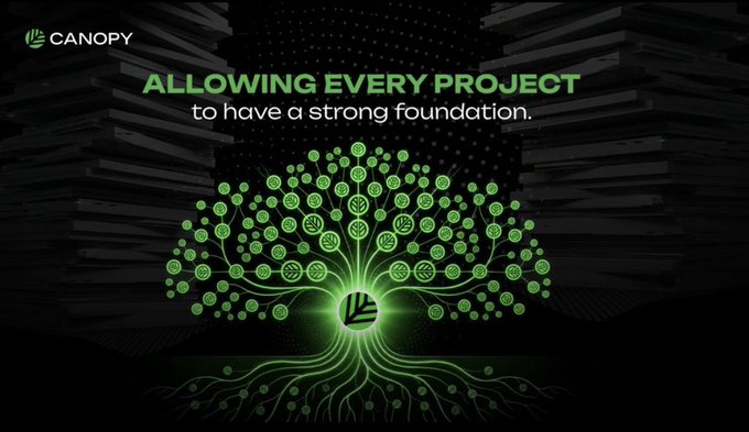 A Canopy promotional graphic with green text 'ALLOWING EVERY PROJECT to have a strong foundation.' displayed over an illustration of a green tree with circuit-like patterns.