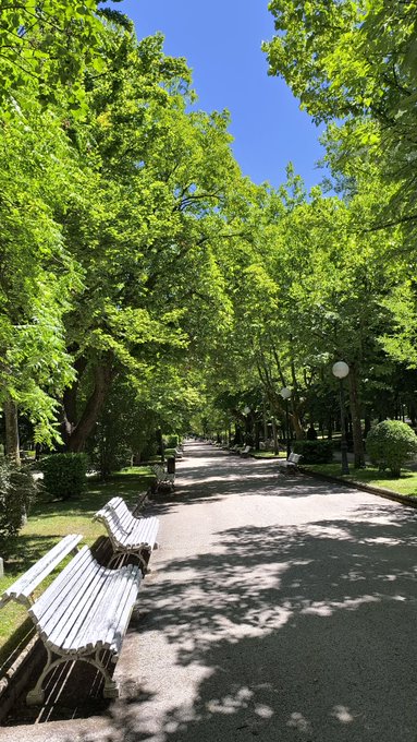 A serene tree-lined park pathway on a sunny Thursday, with wooden benches inviting relaxation beneath a canopy of lush green leaves.