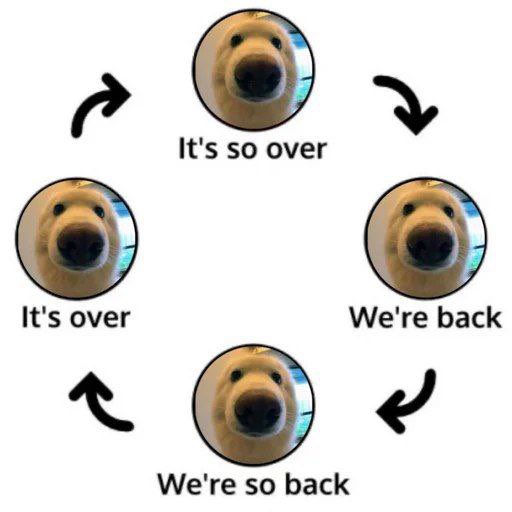 A four-panel circular meme featuring a close-up of a bear's face with the captions 'It's over,' 'It's so over,' 'We're back,' and 'We're so back' connected by curved arrows.