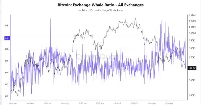A financial chart titled 'Bitcoin: Exchange Whale Ratio - All Exchanges' showing Bitcoin's price in USD ranging from $40K to $130K and the Exchange Whale Ratio from 0.2 to 0.8+ between 2024 and 2026, sourced from CryptoQuant.