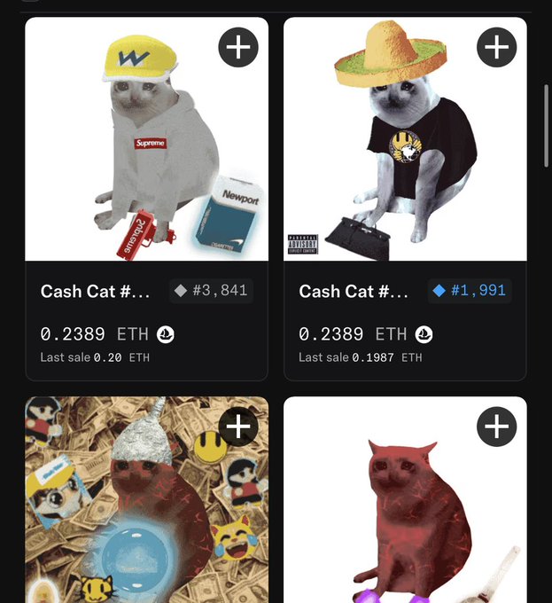 An NFT marketplace display showing multiple 'Cash Cat' collectibles, priced at 0.2389 ETH each, featuring cats in streetwear and a sombrero.
