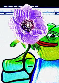 A heavily saturated, filtered image of Pepe the Frog holding up a large purple anemone flower with a dark center.