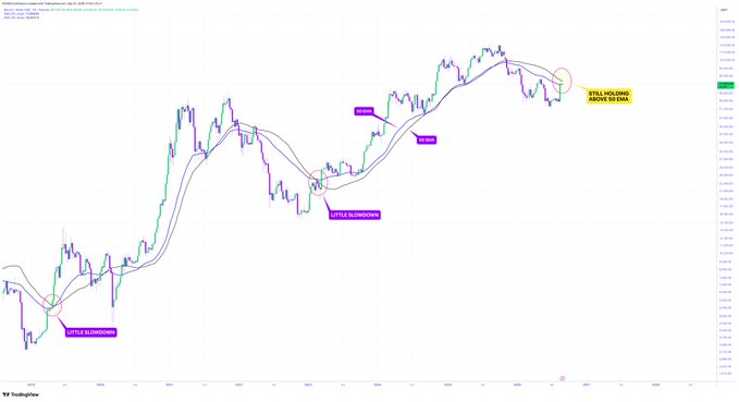 A TradingView chart of what appears to be a cryptocurrency or stock showing price action with annotations indicating 'LITTLE DILDONGWAVES', '69 EMA', '89 EMA', '69/89 EMAs', and a yellow label stating 'STILL HOLDING ABOVE 89 EMA'.