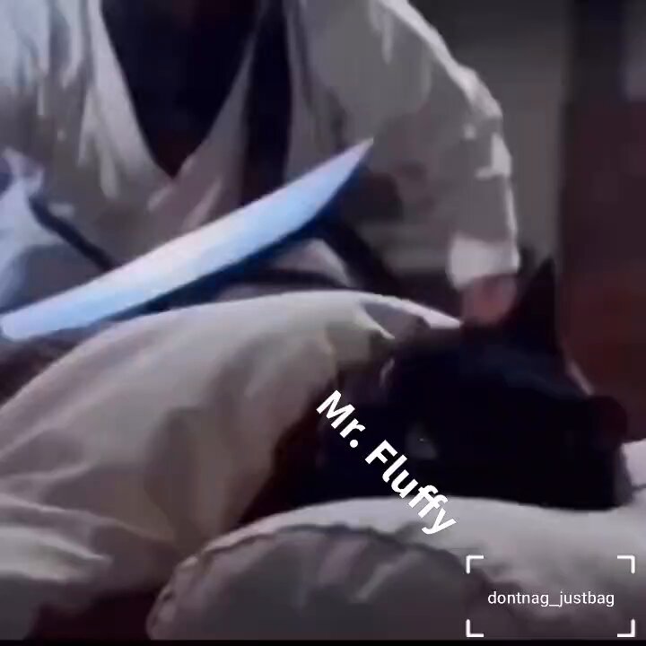 None