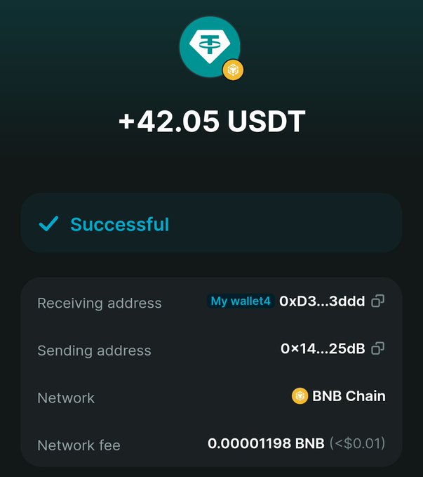 Cryptocurrency wallet transaction screenshot showing a successful transfer of +42.05 USDT via BNB Chain, with receiving and sending addresses partially visible and a network fee of 0.00001198 BNB.
