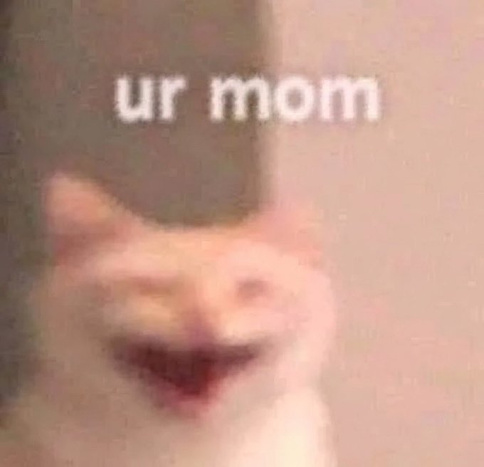 A blurry, low-quality image of a grinning cat with the text 'ur mom' overlaid at the top in white pixelated letters.