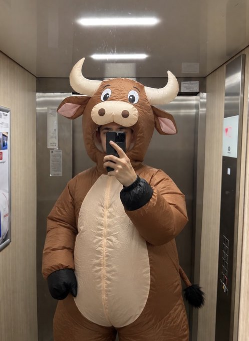 A person wearing an inflatable brown bull costume with horns takes a mirror selfie with a smartphone inside an elevator.
