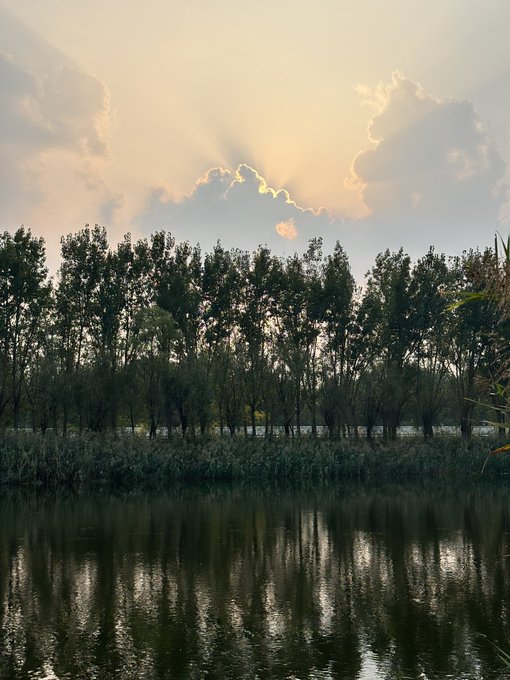 A serene landscape at sunset with sunlight breaking through clouds over a line of trees reflected in a calm body of water in the foreground.