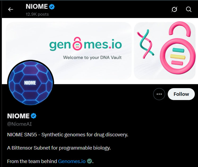 The image shows the NIOME Twitter/X profile (@NiomeAI) with 12.9K posts, featuring its DNA-themed banner for "genomes.io" and a bio describing "NIOME SN55 - Synthetic genomes for drug discovery" as a Bittensor Subnet for programmable biology. The profile visually reinforces the post's message about SN55 being a Bittensor subnet leveraging decentralized AI to generate synthetic human genomes for advancing gene therapy research.
