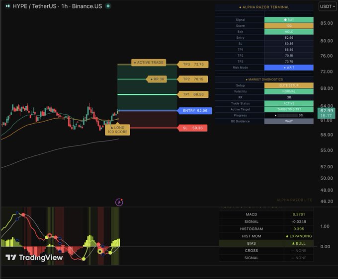 "$HYPE$" is shown as a symbol next to information about active trading for Bitcoin Terminal. It appears that there's something being actively tracked or monitored using the trading terminal, possibly related to Bitcoin or other digital currency.