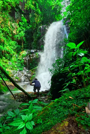 A person stands near a waterfall in a dense, lush green tropical forest, surrounded by rocks, streams, and vibrant vegetation.