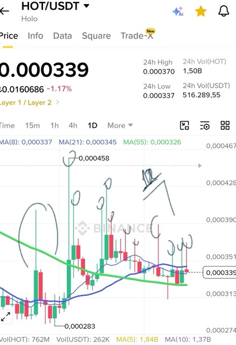 A Binance trading chart for HOT/USDT (Holo) showing a price of 0.000339 USDT with various handwritten-style technical analysis annotations and circled patterns drawn over the candlestick price action.