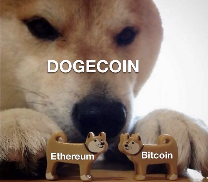 The image features a brown dog with black eyes, positioned between two small toy dogs that are shaped like Bitcoin addresses. The text "Dogecoin" is written above the dogs, indicating their connection to the cryptocurrency.