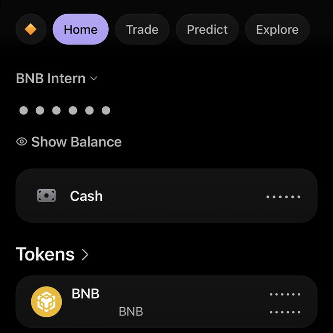 A cryptocurrency wallet interface on the "Home" tab showing a "BNB Intern" account with hidden balances, displaying Cash and BNB token sections.