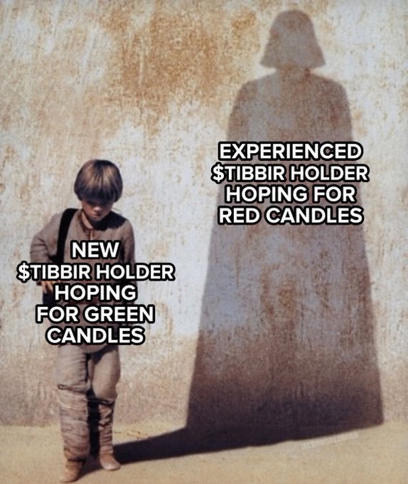 The image features a poster with an illustration of a shadow of Darth Vader below a speech that reads, "Experienced $TIBBIR holder hoping for red candles." The text appears to suggest that someone might be making a joke or humorous comment about Darth Vader, which is a popular meme culture reference.