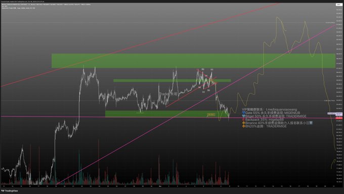 A TradingView stock chart showing technical analysis with Chinese annotations including 'VIP策略群', 'Data:50%多次分仓进总比, M5找机会', and 'TRADE加复' with green supply/demand zones and trendlines overlaid on the price action.