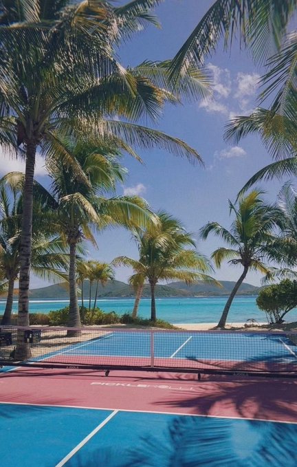 A tropical beach scene features a tennis or pickleball court in the foreground, surrounded by palm trees with turquoise ocean water and mountains in the distance.