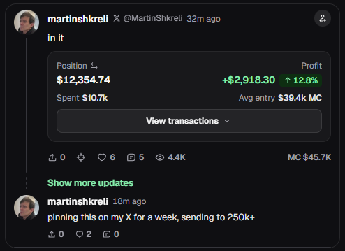 Martin Shkreli's X post displays a portfolio position worth $12,354.74, generated from a $10.7k investment in a $39.4k market cap coin, yielding a 12.8% profit ($2,918.30). This screenshot illustrates the accompanying critique about Shkreli promoting low market cap coins to his large following to profit from his audience.