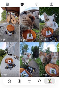 An Instagram profile grid featuring photos of cats posed with a small orange chair holding framed portraits of themselves.