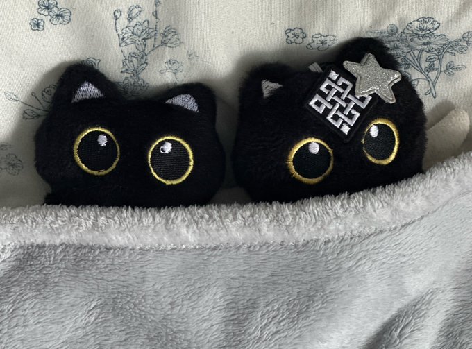 Two black cat plushies with gold-rimmed eyes rest on a grey blanket, with the right one adorned with silver star and geometric charms.