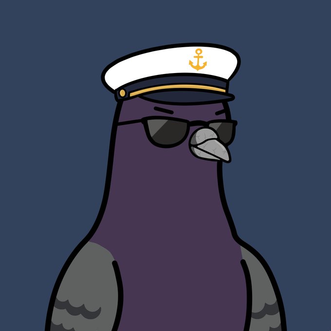 A cartoon pigeon wearing a white sailor's hat with a gold anchor emblem and black sunglasses against a dark blue background.