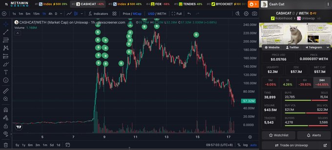 A TradingView chart displays CASHCAT/WETH on Uniswap at $0.0117 (-44.85%), showing a steep downtrend with green "B" sell markers clustering near the 240M peak, illustrating the ~61% loss referenced in the post about trader 0x5fe6 holding 5.04M CASHCAT now worth ~$290K of their original 405 ETH (~$750K) purchase.