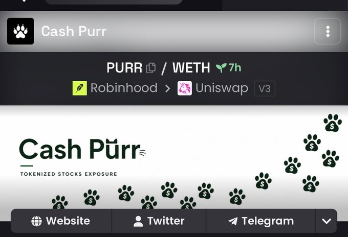 The image displays a cryptocurrency listing page for "Cash Purr" (PURR/WETH), showing a tokenized stocks exposure project with a 7-hour timeframe, available on Robinhood and Uniswap V3, and includes links to its Website, Twitter, and Telegram. The accompanying post highlights a transaction hash (0x3efd61c9fe62a2da3e137069458fce3d46fc3179) celebrating a successful DEX interaction with the Cash Purr token.