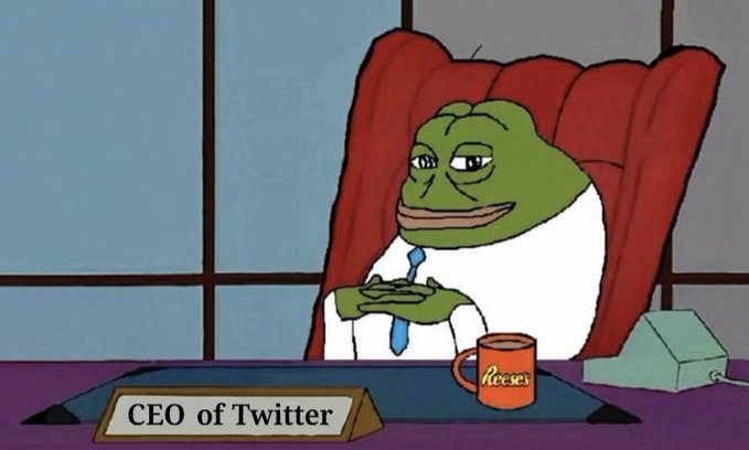 A humorous meme depicting the Pepe character sitting in an office chair behind a desk labeled 'CEO of Twitter,' with arms crossed and a confident expression.